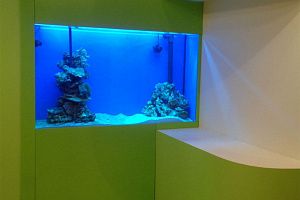 Морской рифовый аквариум изготовленный на заказ в Москве - фото 1