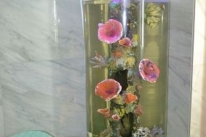 Изготовление аквариуму цилиндр под псевдоморе  в SPA комнате в Москве - фото 2