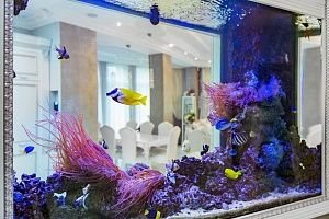 Купить аквариум с мягкими кораллами в Москве - фото 3