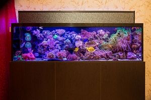 Морской аквариум на заказ в Москве - фото 4