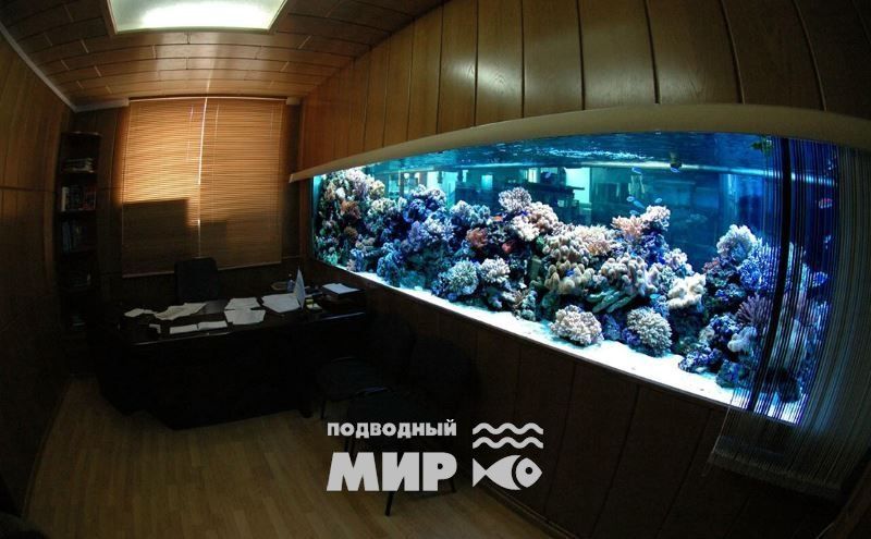 Изготовление аквариумов на заказ в Москве